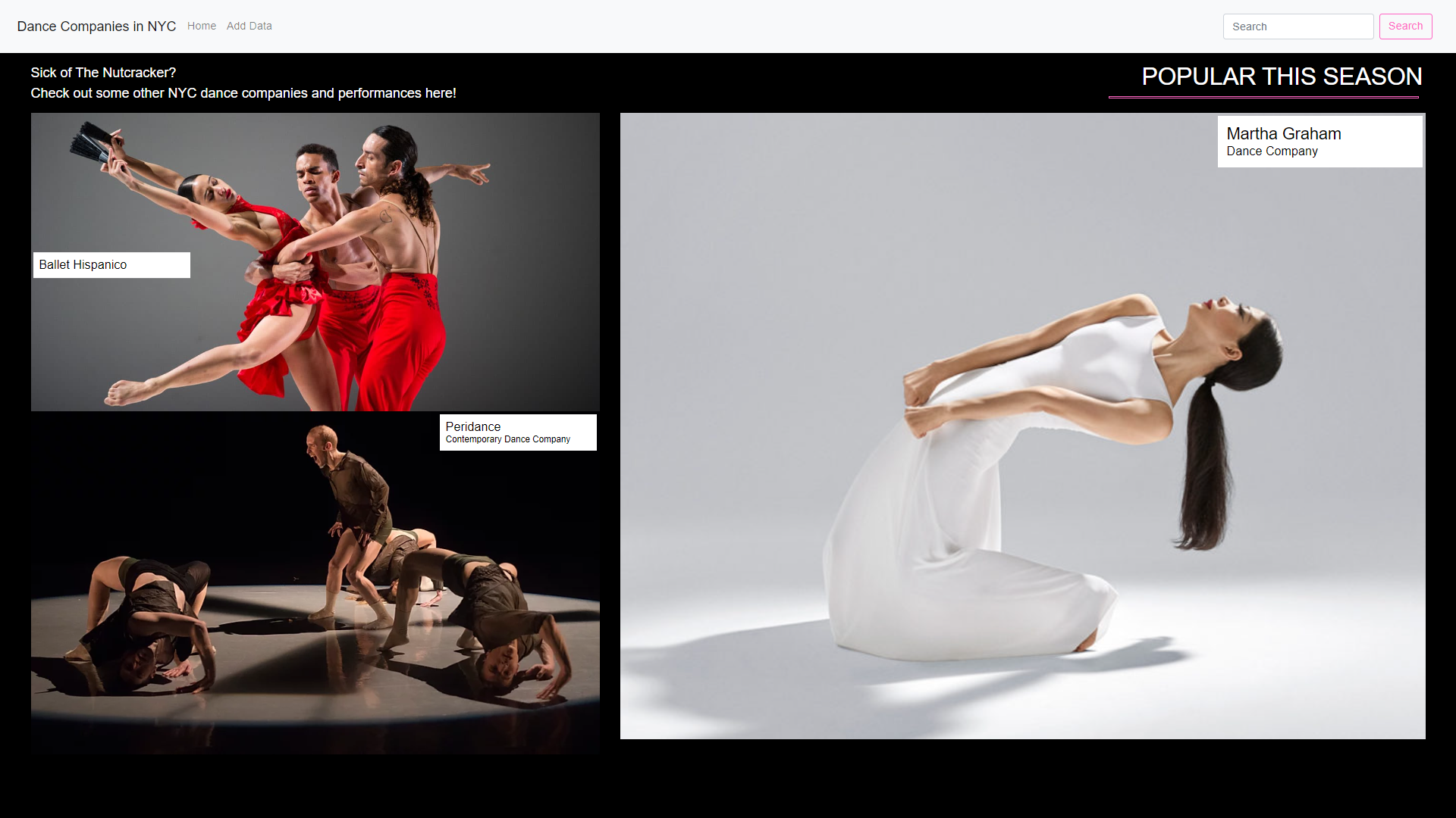 Home screen of the dance database website