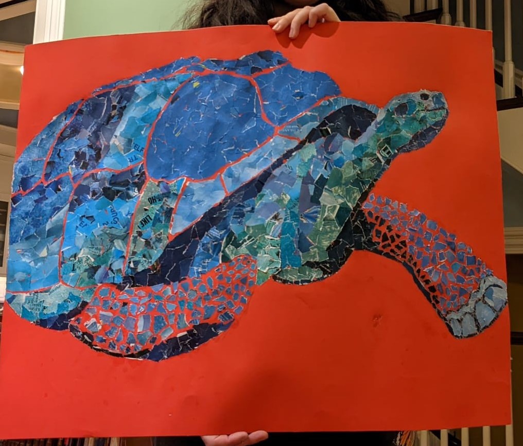 Blue tortoise collage on red paper